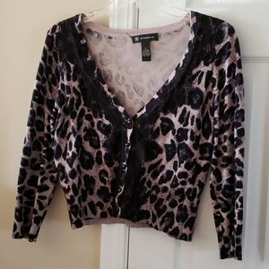 Cheetah Bolero